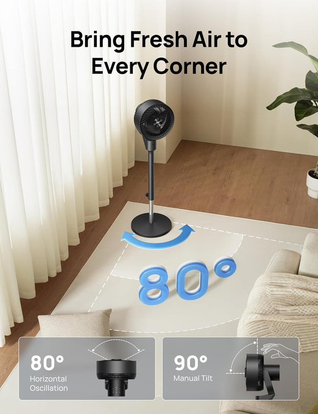 Adjustable Oscillating Pedestal Fan